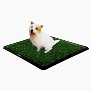 Köpek Tuvalet Eğitim Seti