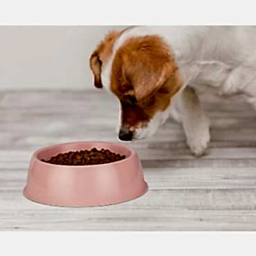 Mikopet Küçük Yuvarlak Mama Kabı 