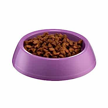 Mikopet Küçük Yuvarlak Mama Kabı