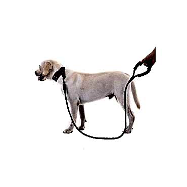 Reflektörlü Köpek Tasması 130 Cm.