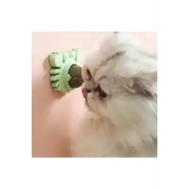 Yengeç Kedi Otu Oyun Topu