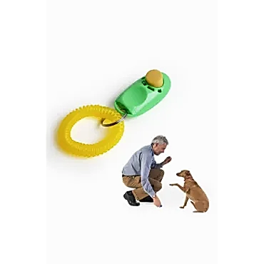 Clicker Köpek Eğitim Aleti