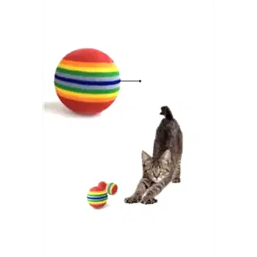 Sünger Kedi Köpek Çiğneme Ve Oyun Topu 4 Adet