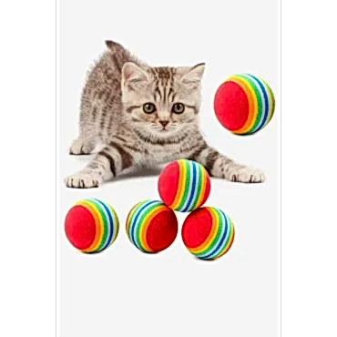 Sünger Kedi Köpek Çiğneme Ve Oyun Topu 4 Adet