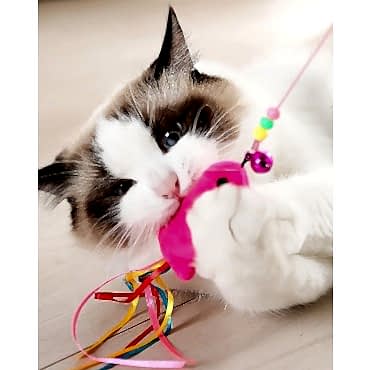 Balıklı Kedi Oyun Oltası