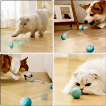İnteraktif Kedi Köpek Şarjlı Oyun Topu