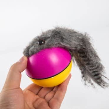 Hareketli Rakun Kedi Köpek Oyuncak 