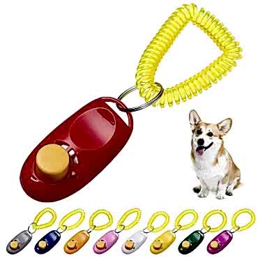 KÖPEK EĞITIMI CLICKER