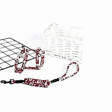 Kedi Gezdirme Göğüs Tasması 