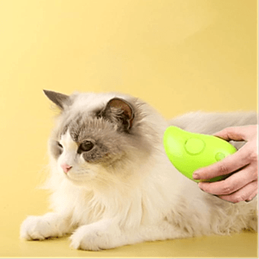 Buharlı Kedi Tarağı