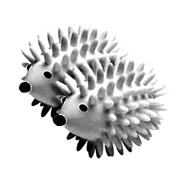 Kirpi Tasarımlı Çamaşır Tüy Toplama Topu