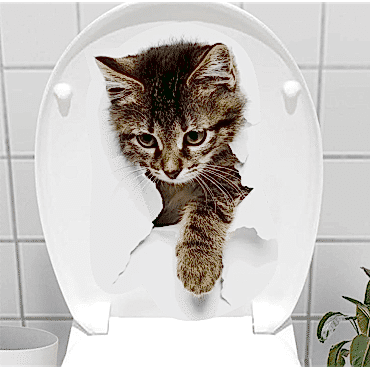 Decohandy Klozet Etiketi Stray Cat