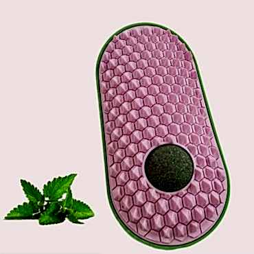 Silikon Kaşıyıcılı Kedi Otu 