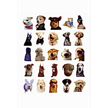 Sevimli Köpek Çıkartmaları Laptop Notebook Tablet Sticker Seti