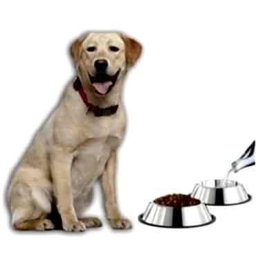 Paslanmaz Çelik Metal Mama Kabı 34 cm.