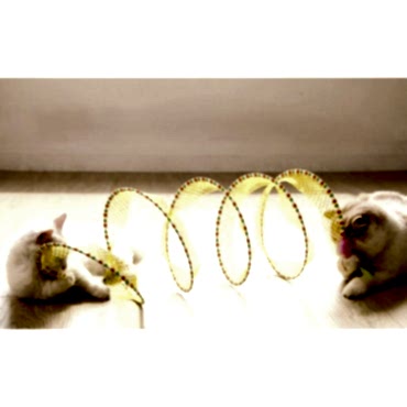 Katlanabilir Kedi Tüneli