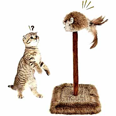 Sesli Oyuncaklı Kedi Tırmalama Tahtası 