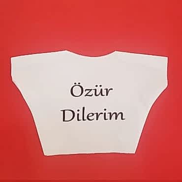 Özür Dilerim Yazılı Peluş Oyuncak Ayı Tişörtü