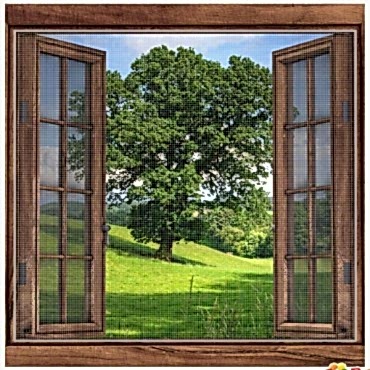 Yapışkanlı Çift Kanat Sineklik 