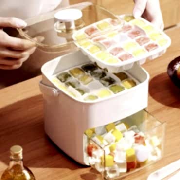 Buz Kalıp Ve Saklama Kutusu 