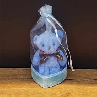 Mavi Hediyelik Kese İçinde Ayıcık 