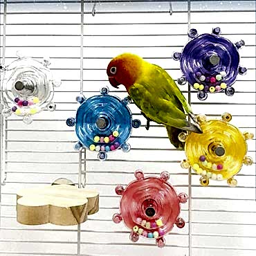 Çıngıraklı Kuş Kafesi İçin Çark Oyuncağı 