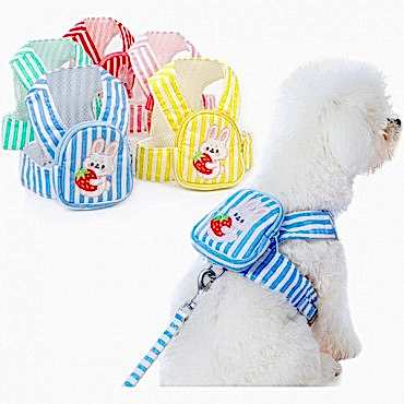 Evcil Hayvan Çantalı Göğüs Gezdirme Tasması Seti 