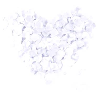 Beyaz Renk Gül Yaprağı - 10 Paket 1000 Adet