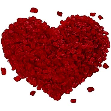 Kırmızı Renk Gül Yaprağı – 1 Paket 100 Adet