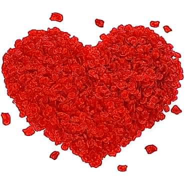 Kırmızı Renk Gül Yaprağı – 10 Paket 1000 Adet