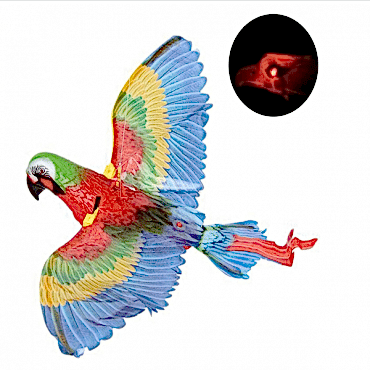 Uçan Papağan Kedi Oyuncağı