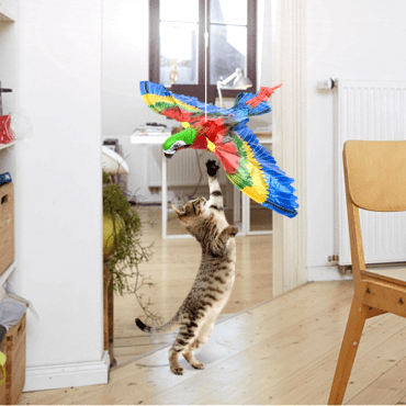 Uçan Papağan Kedi Oyuncağı