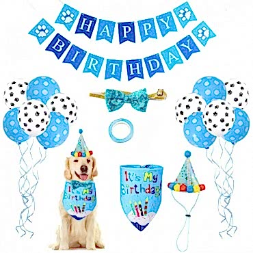 Köpekler İçin Doğum Günü Partisi Seti 