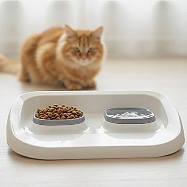 Mikopet Gri 2'si 1 Arada Mama Ve Su Kabı