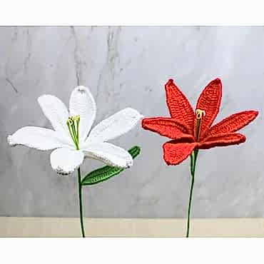 El Örgüsü Zambak Çiçeği 