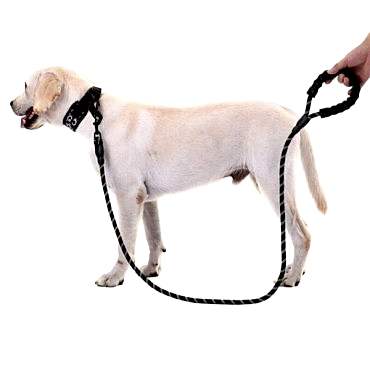 Evcil Hayvan Reflektörlü Fitil Gezdirme Tasması 12 mm x 120 cm