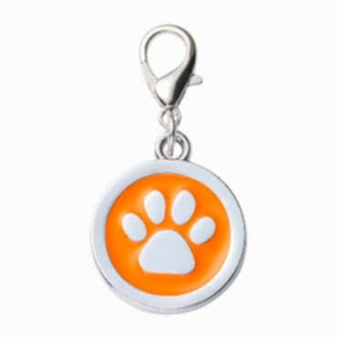 Evcil Hayvan Klipsli Tasma Künyesi